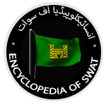 EVOLUTION OF SWAT STATE’S DEPARTMENTS